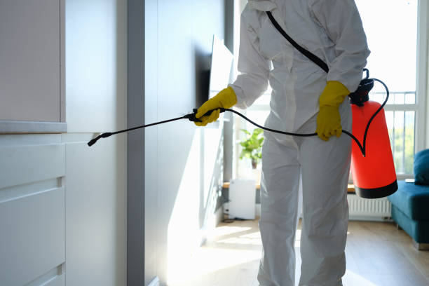 Trusted Elkhorn City, KY Mold Removal Experts